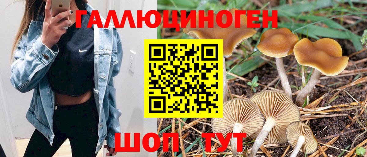 Псилоцибиновые грибы мухоморы  Вход с VPN  Галлюциногенные грибы ЛСД  Чита 