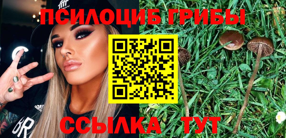 Галлюциногенные грибы ЛСД Чита